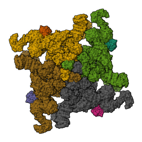 RyR2(F_A_Ca2+)