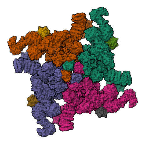 RyR2(F_A_C_Ca2+)