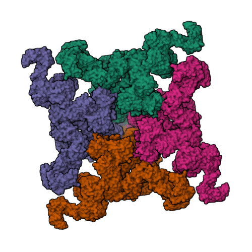 RyR2(Ca2+)