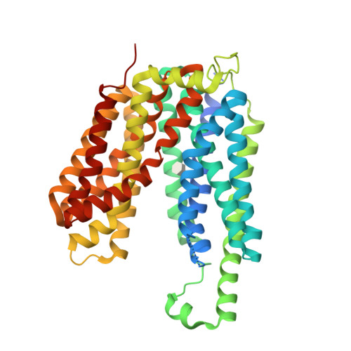 E.coli FucP(N162A)