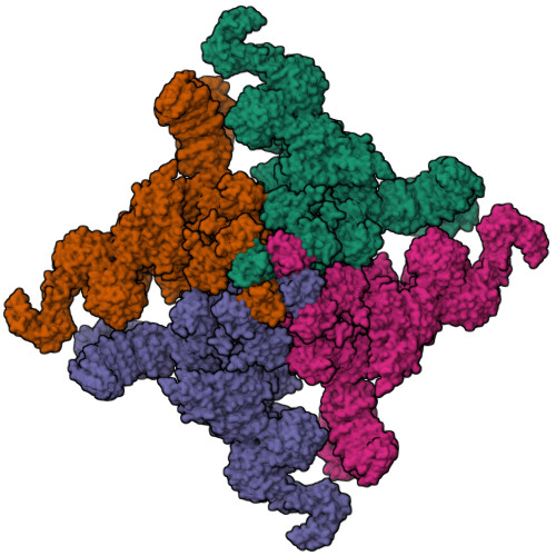 RyR2(closed state)