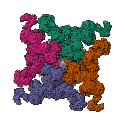 RyR2(open state)