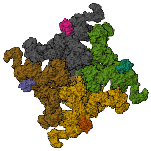 RyR2(F_P_Ca2+)