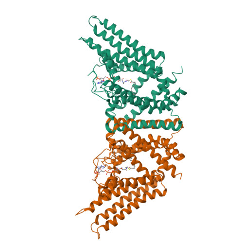 Dimeric_ACAT1